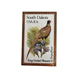 Pheasant Brooch South Dakota Postage Stamp Brooch Pin Bird Lover
